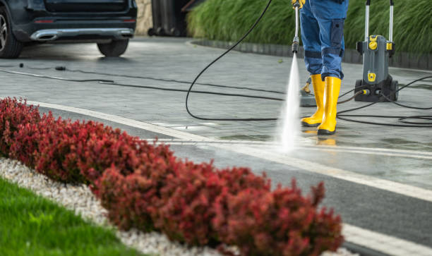 Best Affordable Pressure Washing  in Woodside, CA
